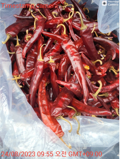 태양초고춧가루 진안고원 고랭지 /23년도산, 1개, 500g