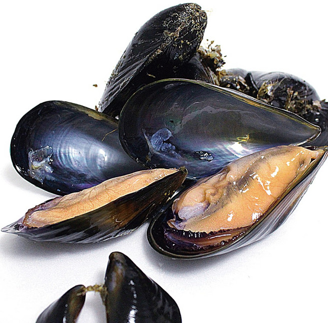 [훈이수산] 맛좋은 당일채취 통영 껍질 홍합, 1개, 껍질홍합5kg