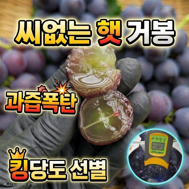 초고당도 햇 씨없는 거봉 포도, 1박스, 2kg