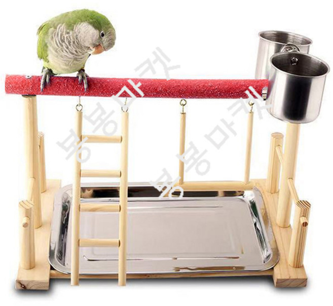 (B급) 앵무새 놀이터 부리갈이 횟대