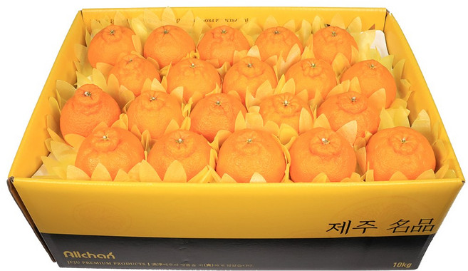농장직송 고당도 한라봉 3kg 5kg 10kg 꼬마한라봉, 1박스, 한라봉 10kg 중(38~47과)