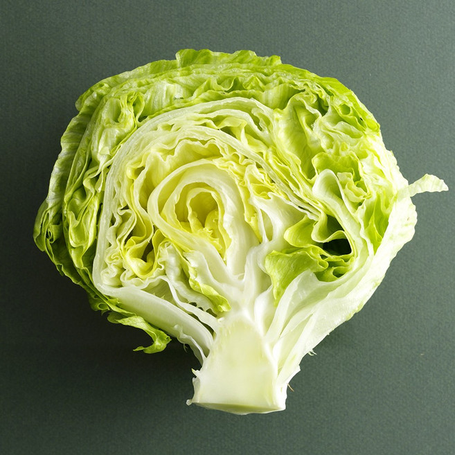 친환경 국내산 유기농 양상추 2개입 4개입 개당 500g내외, 4개, 500g