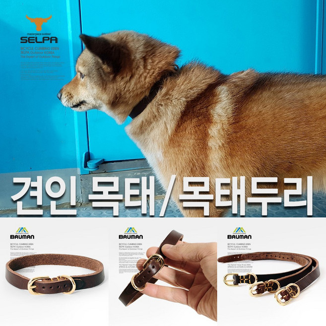 셀파 바우만 개줄 목줄 리드줄 개목줄 견인줄 애견 반려견 바우만, SCD-N3008, 1개