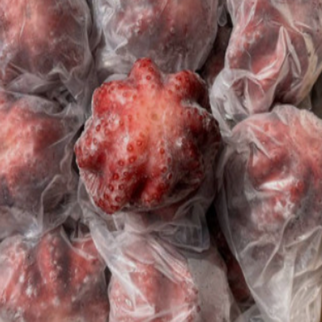 문어 냉동문어 생문어 1마리 400g-500g 내외 모리타니아문어 자숙문어 세네갈문어 수입문어, 1개, 자숙문어700g~800g(필리핀)