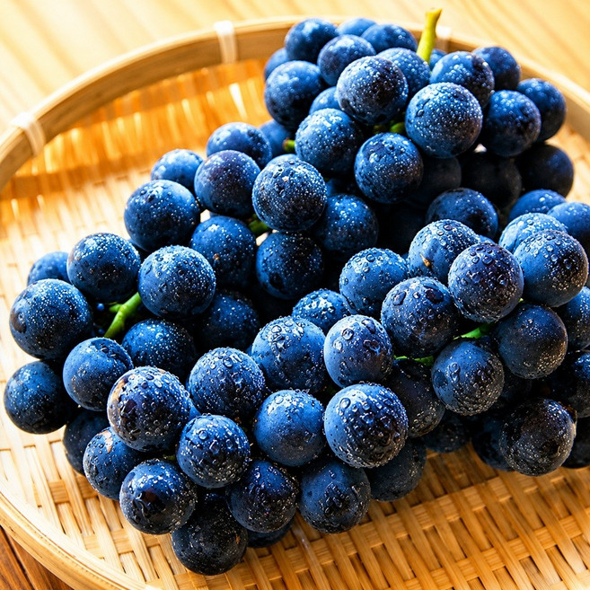 산지직송 캠벨포도 하우스 송산포도 김천 거봉, 1개, 하우스 캠벨포도 2kg(12수 내외)