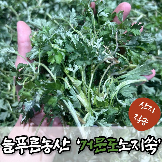 늘푸른농산 산지직송 여수 거문도 쑥 해풍쑥 노지쑥 생쑥, 1박스, 5kg