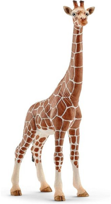 SCHLEICH 슈라이히 와일드라이프 기린 암컷 피규어 14750