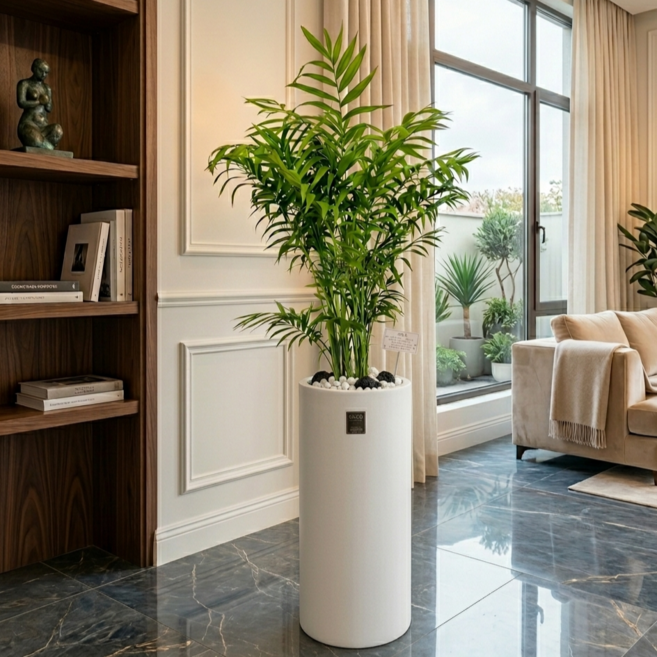 에코플랜트 실내 공기정화 식물 개업식 사무실 이전 승진 까페 개원 집들이 선물 개업 축하 화분 배달 [서울 경기 당일배송]<토요일 오후 일요일 주문건 월요일배송>, 04. 테이블야자원형, 1개