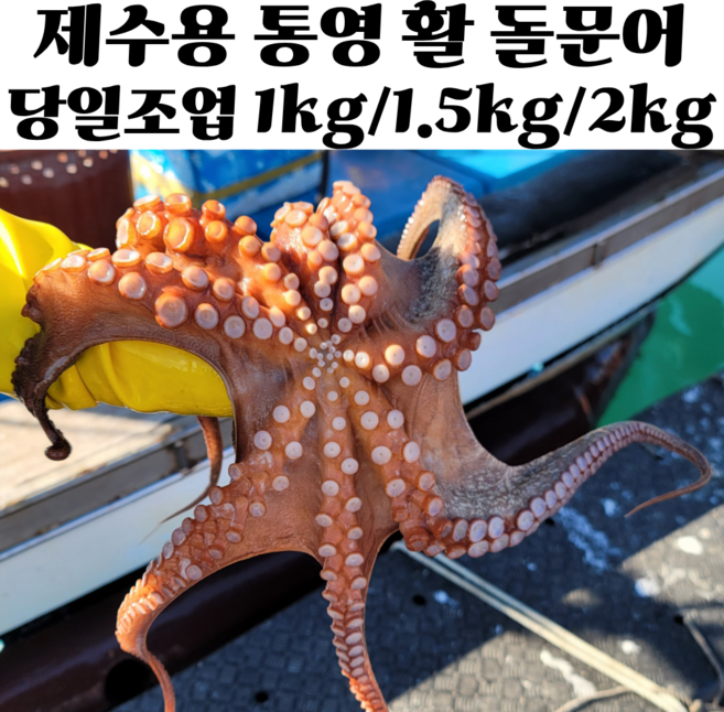 국내산 제수용 자숙문어 활 돌문어 데친문어 통영문어, 1개, 제수용 활 돌문어 1kg