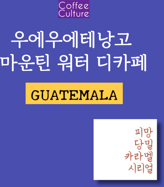 과테말라 우에우에테낭고 디카페 200g 디카페인커피 홈카페 당일로스팅, 프랜치프레스분쇄, 1개