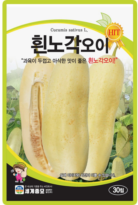 세계종묘 흰노각오이 씨앗 30립 흰색 노각오이 씨 종자, 3개