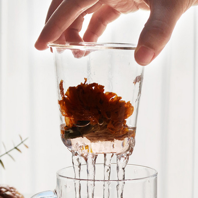 Bestra 내열유리 차거름망 필터, 4개