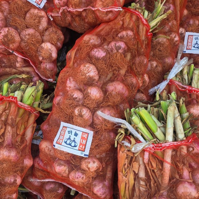 국내산 장아찌용 마늘 장아찌마늘 햇마늘 통마늘 남해 창녕 마늘 대품, 1개, 5kg(장아찌용마늘)