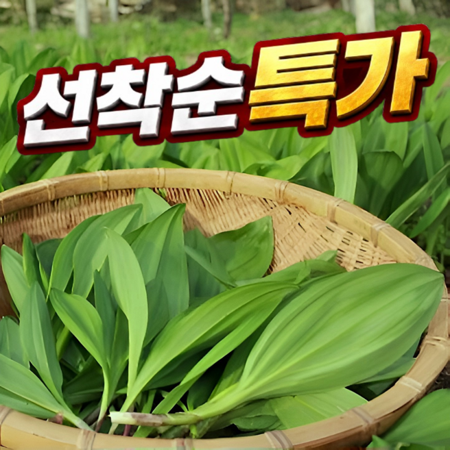 [선착순특가] 국산 생 산마늘 명이나물, 500g, 1박스
