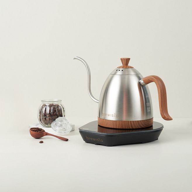 브뤼스타 아티산 전기드립포트 PRO, 600ml, 실버그레이
