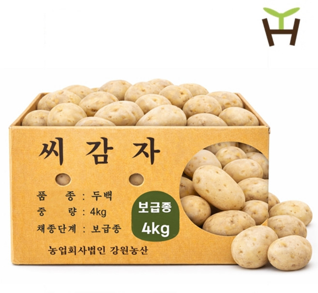 강원농산 두백씨감자 4kg 감자씨 주말농장 모종, 1개
