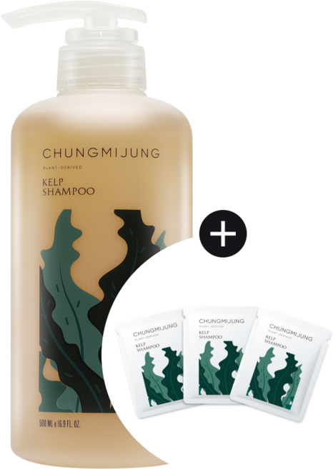 (청미정) 다시마 샴푸 (+ 증정품 21ml), 1개, 500ml