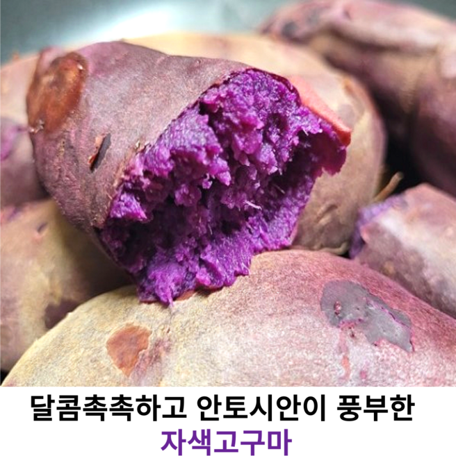 국내산 자색고구마 3kg 5kg 국산 안토시안이 풍부한 자색고구마 중사이즈 촉촉하고 부드러운 자색고구마, 1개