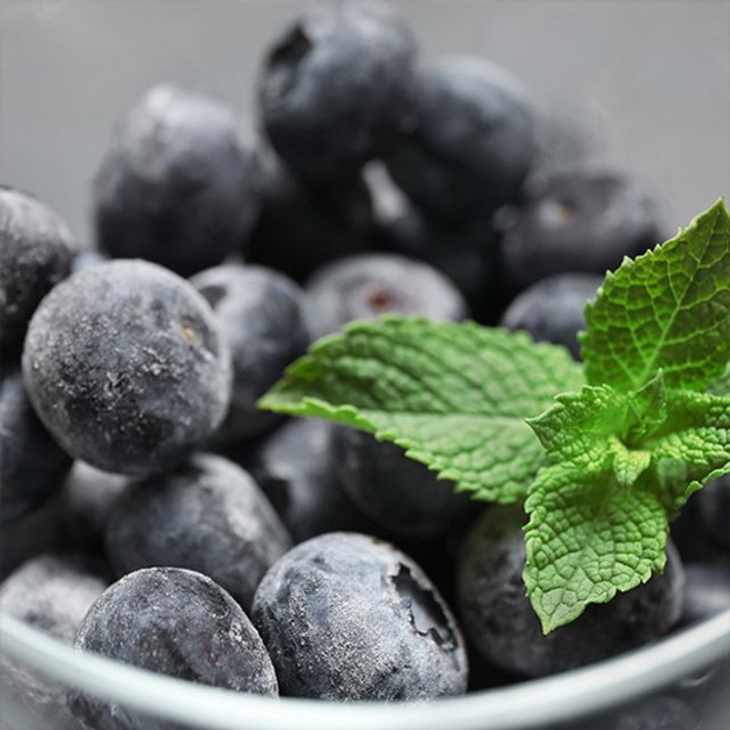 생활앤 냉동 블루베리, 1개, 500g