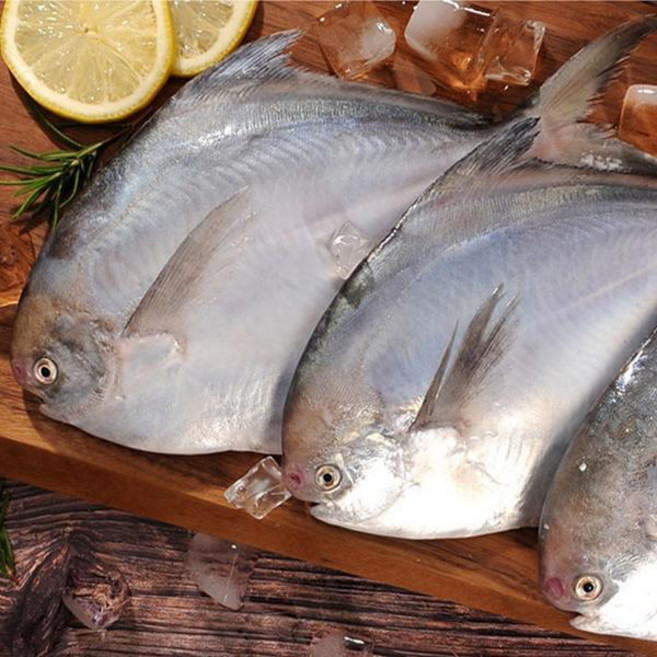 수락수산 생물 병어(중)3미(600g~750g내외), 단품