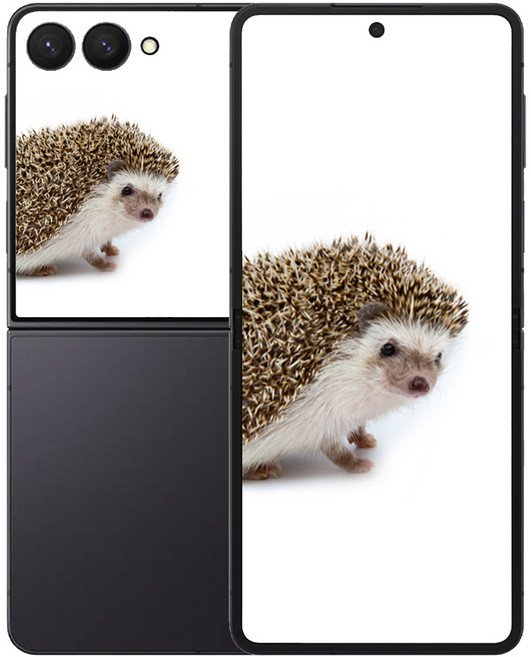 삼성전자 갤럭시 Z플립 7, 512GB, 제트 블랙 색상 선택하기