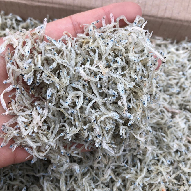 신건호멸치 직접잡은 햇 지리멸치 상급 볶음멸치 잔멸치, 1kg, 1개