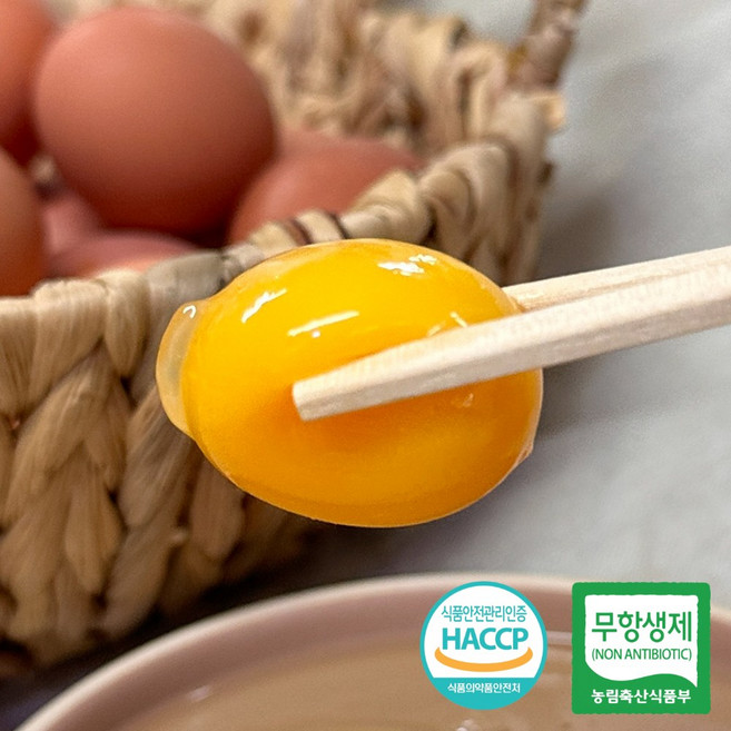 난각번호 1번 유정란 무항생제 자연방사 방목 계란 HACCP, 1개, 40구