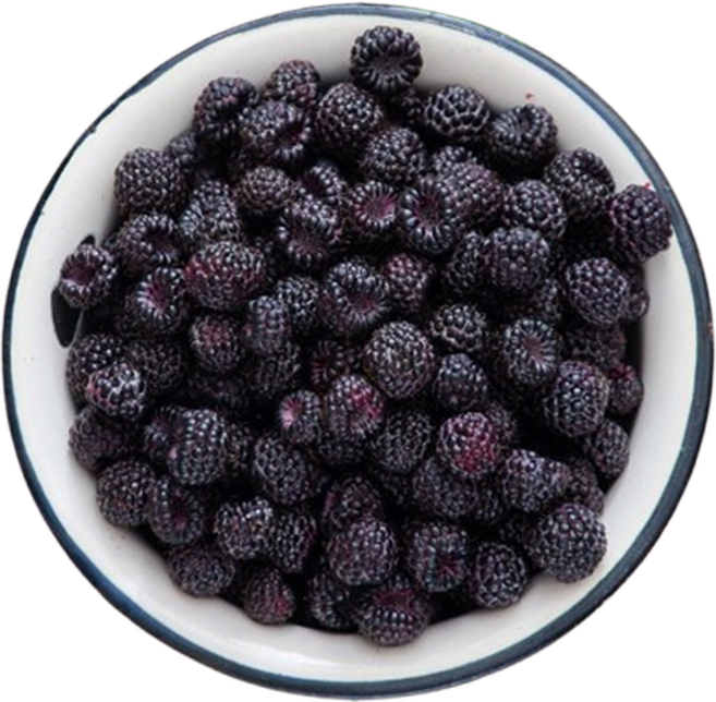 [팔톤상회] 베리류의 왕 토종 복분자 대용량 (급냉), 1개, 5kg