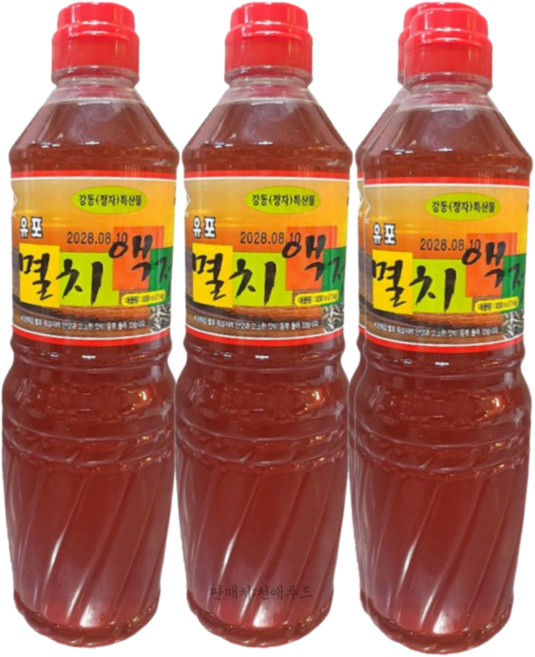강동정자 유포 멸치액젓 가정용, 570g, 1개, 570g