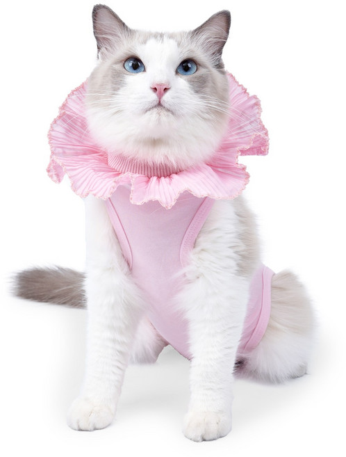 고양이 중성화 환묘복 고양이 옷 보호 강아지 중성화복 암컷 환견복 고양이 중성화 환묘복 고양이중성화수술후입는옷, Pink, 1개