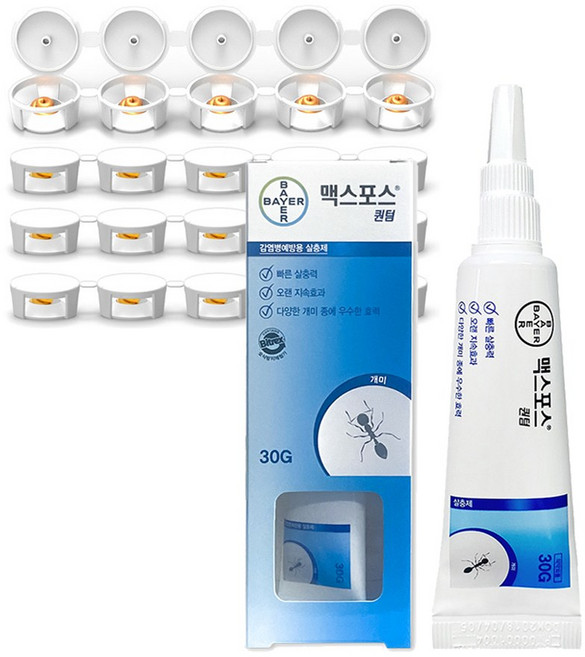 맥스포스퀀텀 30g+먹이캡 21개 개미약 여왕개미 퇴치, 1개, 30g