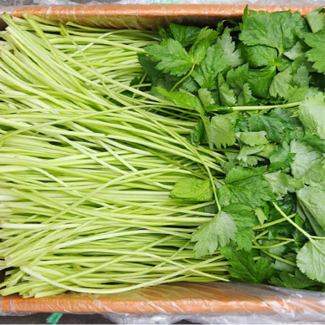 ( 농수산식자재)4CTP-참나물 4kg, 4CTP-단품
