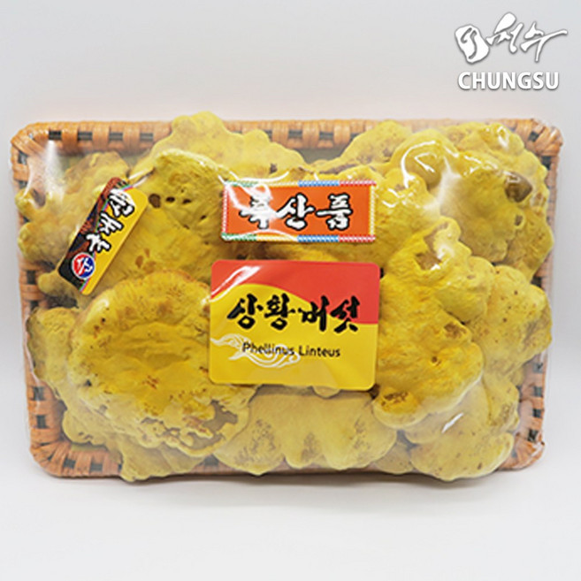 청수생약 국내산 상황버섯 1kg 선물세트 특산품, 1개