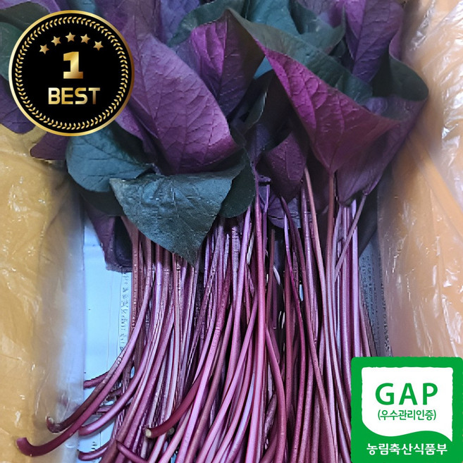 국내산 통채루 껍질째 먹는 생 고구마줄기 고구마순 산지직송, 1개, 1kg (잎포함)