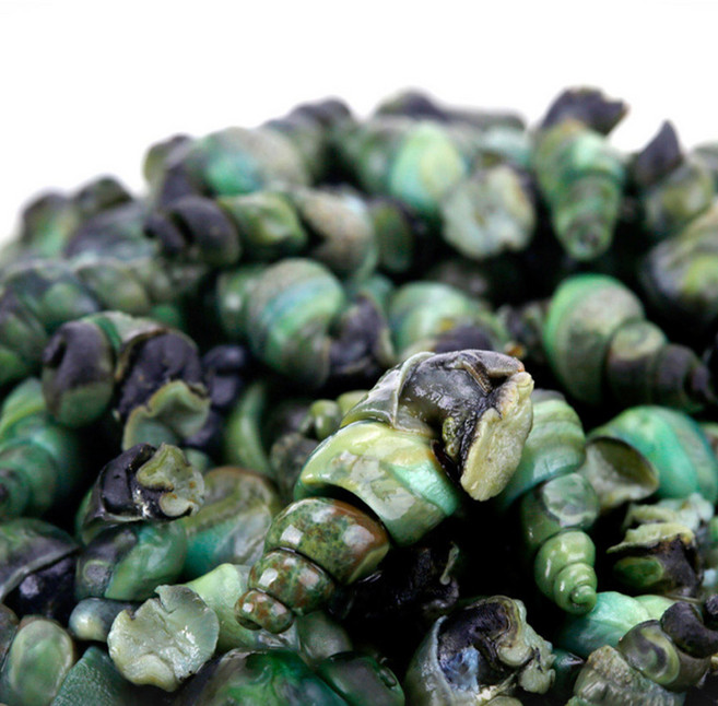 산지청정 동강1급수 자연산 다슬기 깐다슬기 올갱이, 1세트, 400g