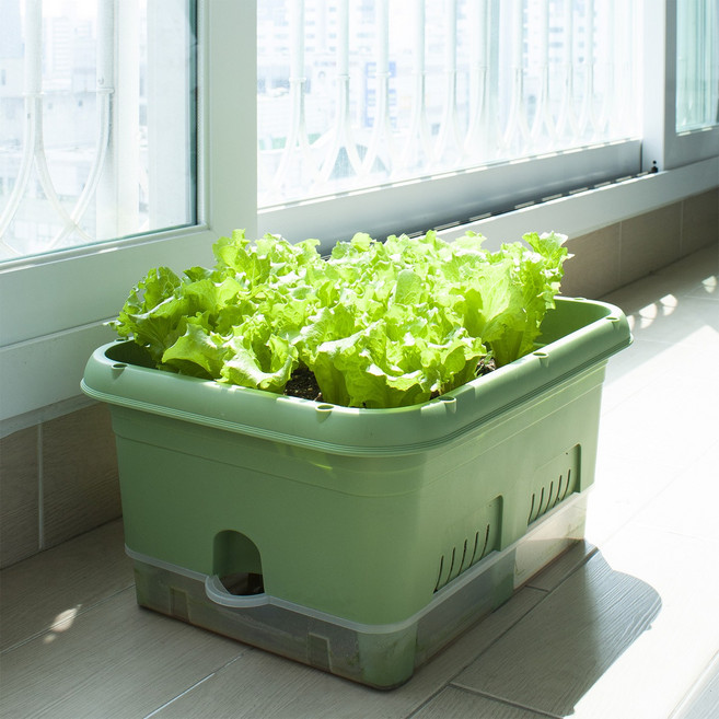 [국내자체생산]내집에 텃밭 화분 대형 급수식 이동식 베란다 홈가드닝, 그린, 1개