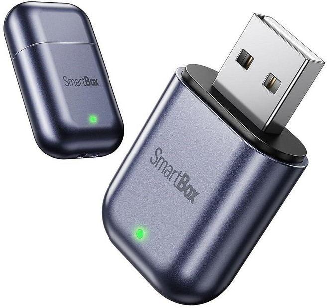 Burnt Sugar Wireless Carplay Adapter for iPhone 2026 Upgraded Ultra-Mini USB for Apple Car Play C, 밝은 회색