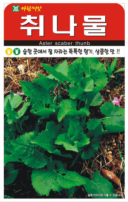 아람종묘 취나물 씨앗 1000p, 1개