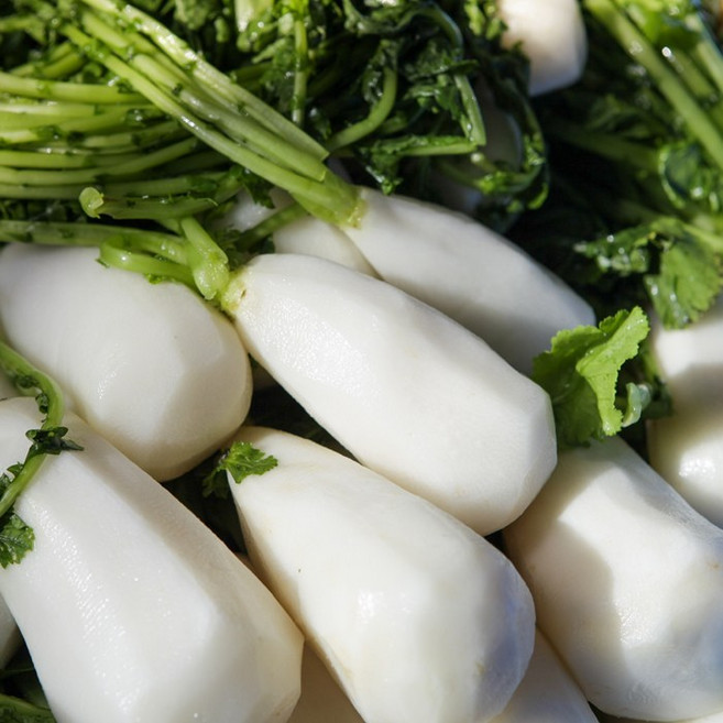 국산 절임알타리, 1개, 절임알타리 10kg