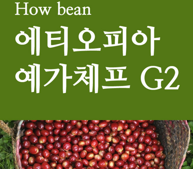 하우빈 당일로스팅 원두커피 에티오피아 예가체프 G2 1kg 10+1, 핸드드립/커피메이커, 1개