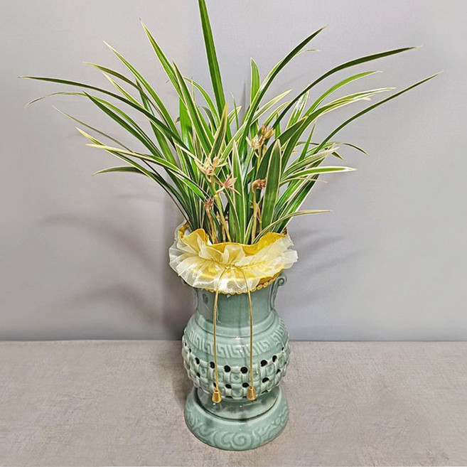 꽃썸플라워 동양란 [전국당일배송] 승진 영전 개업 축하난 황룡금(청자투각), 1개