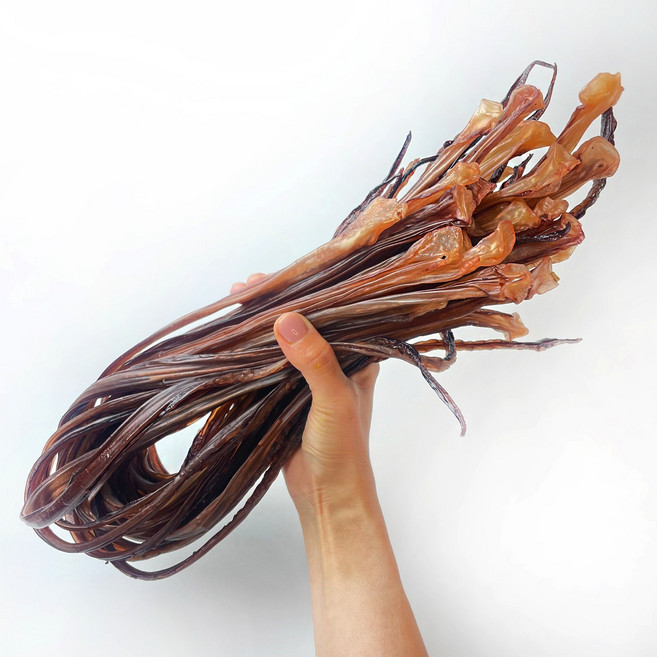 [주5일] 국내가공 최상품 장족 XL사이즈 대왕오징어다리, 1개, 500g