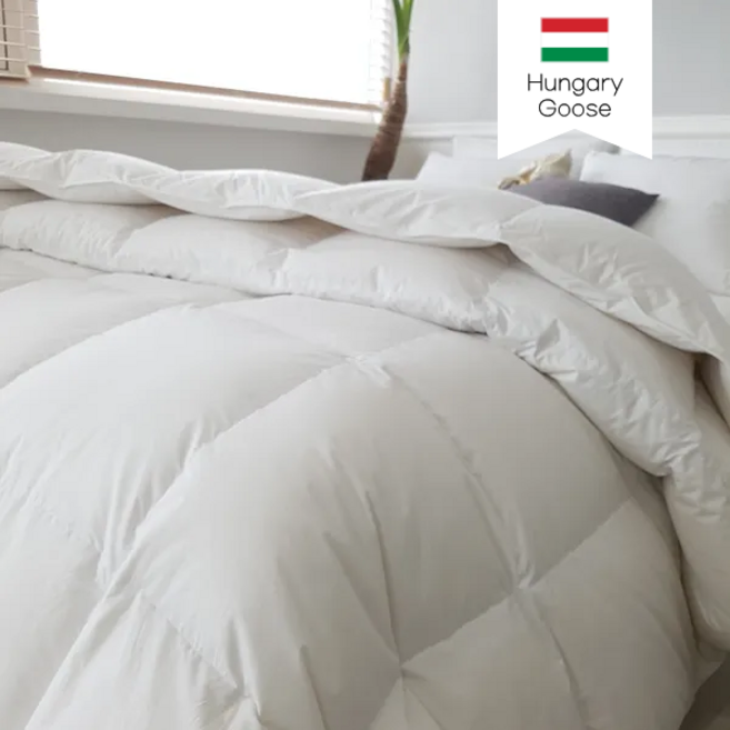 [국내생산 맞춤] 컴포플러스 헝가리 구스이불솜(솜털80%), 여름용