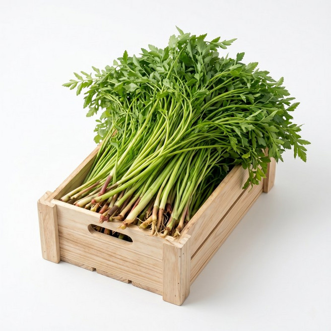 [당일수확/농가직송] 무농약으로 기른 청도 미나리 1kg 1개
