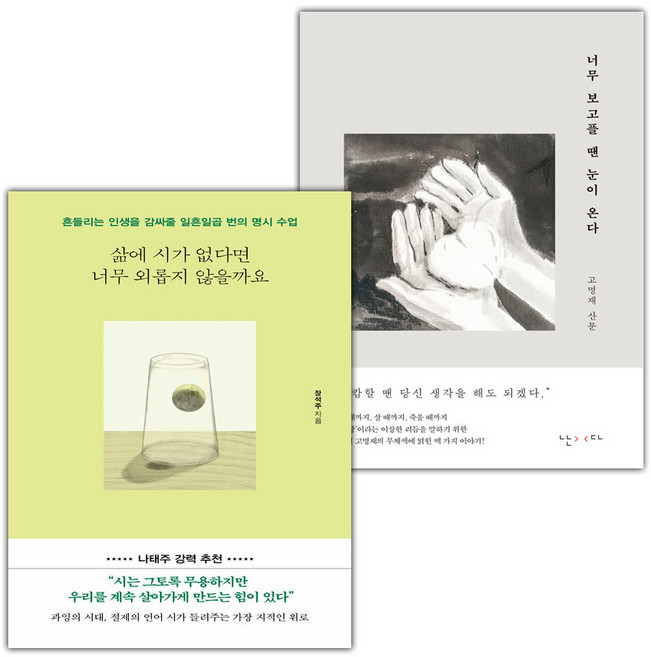 삶에 시가 없다면 너무 외롭지 않을까요+너무 보고플 땐 눈이 온다 세트