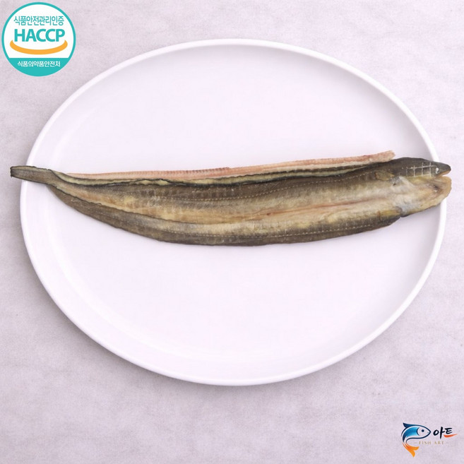 (유)피쉬아트 군산 반건조 아나고, 1개, 5마리(길이50~53cm)