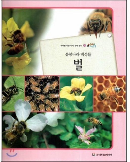 올빼미 자연관찰 10 붕붕나라 백성들 벌 (곤충류), 한국슈타이너