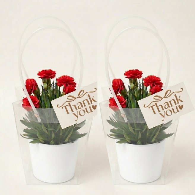 [가정의달] 어버이날 카네이션 화분 선물세트 (심플리+메시지카드+쇼핑백 풀구성), 2개, 카네이션 레드 & 화분 화이트