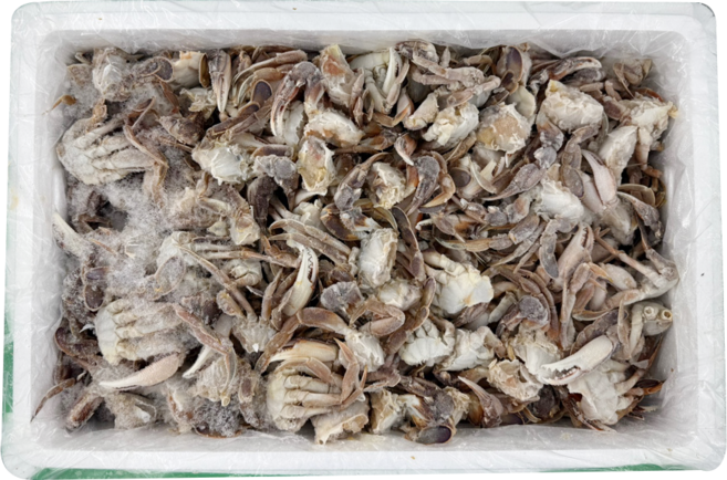 냉동 절단 황게 손질 황게 7단 BOX 드라이아이스 포함, 1박스, 10kg