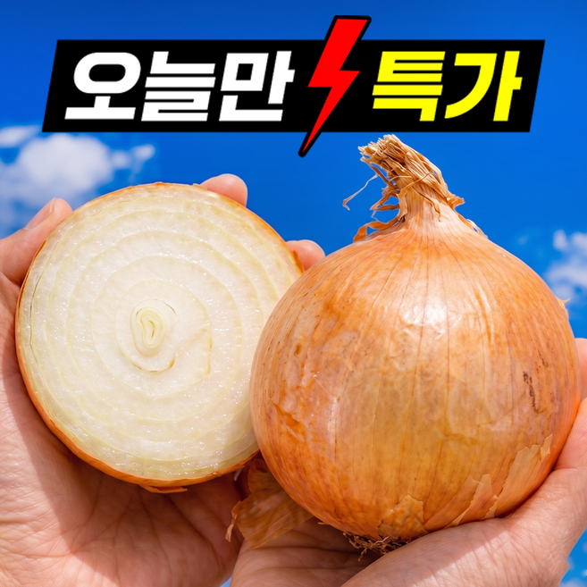 [24시간초특가] 딱100박스만 산지직송 국내산 양파, 1박스, 5kg (대)